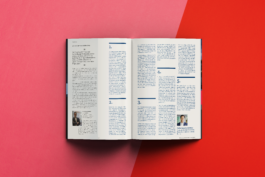 Design eines Interviews mit Stefan Unterlandstättner Vorstandsvorsitzender, Deutsche Kreditbank blila.