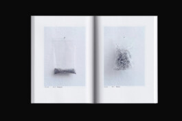 Buchgestaltung einer Innenseite aus der Kรผnsterpublikation